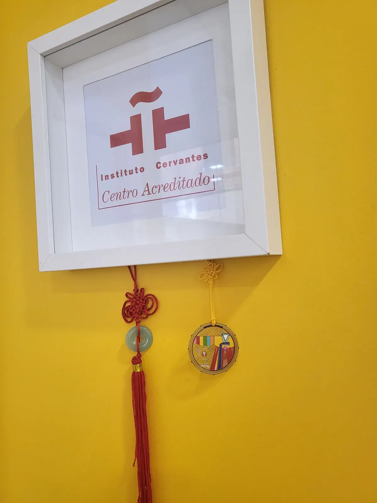 Academia Contacto