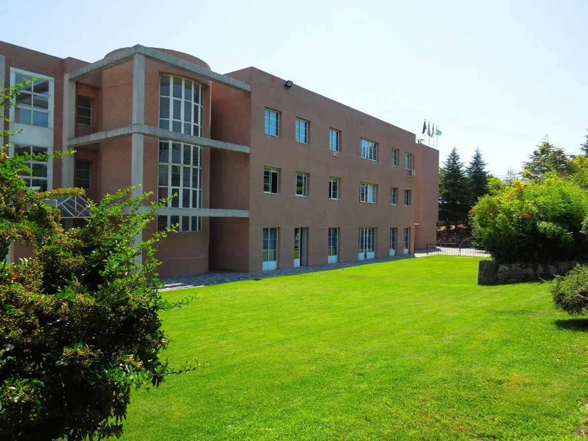 Colegio Los Sauces La Moraleja