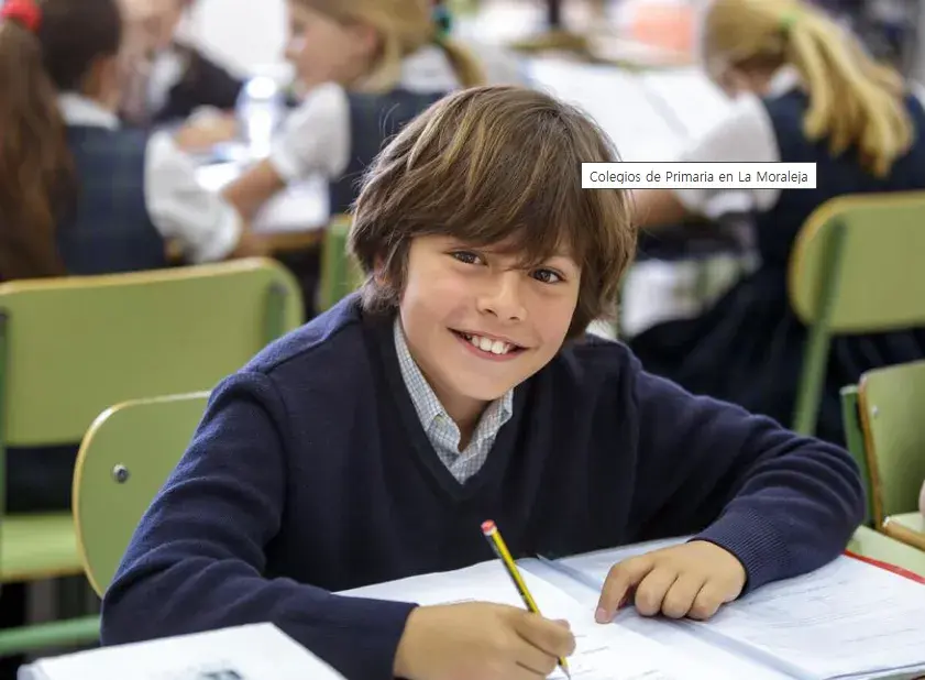 Colegio San Patricio La Moraleja