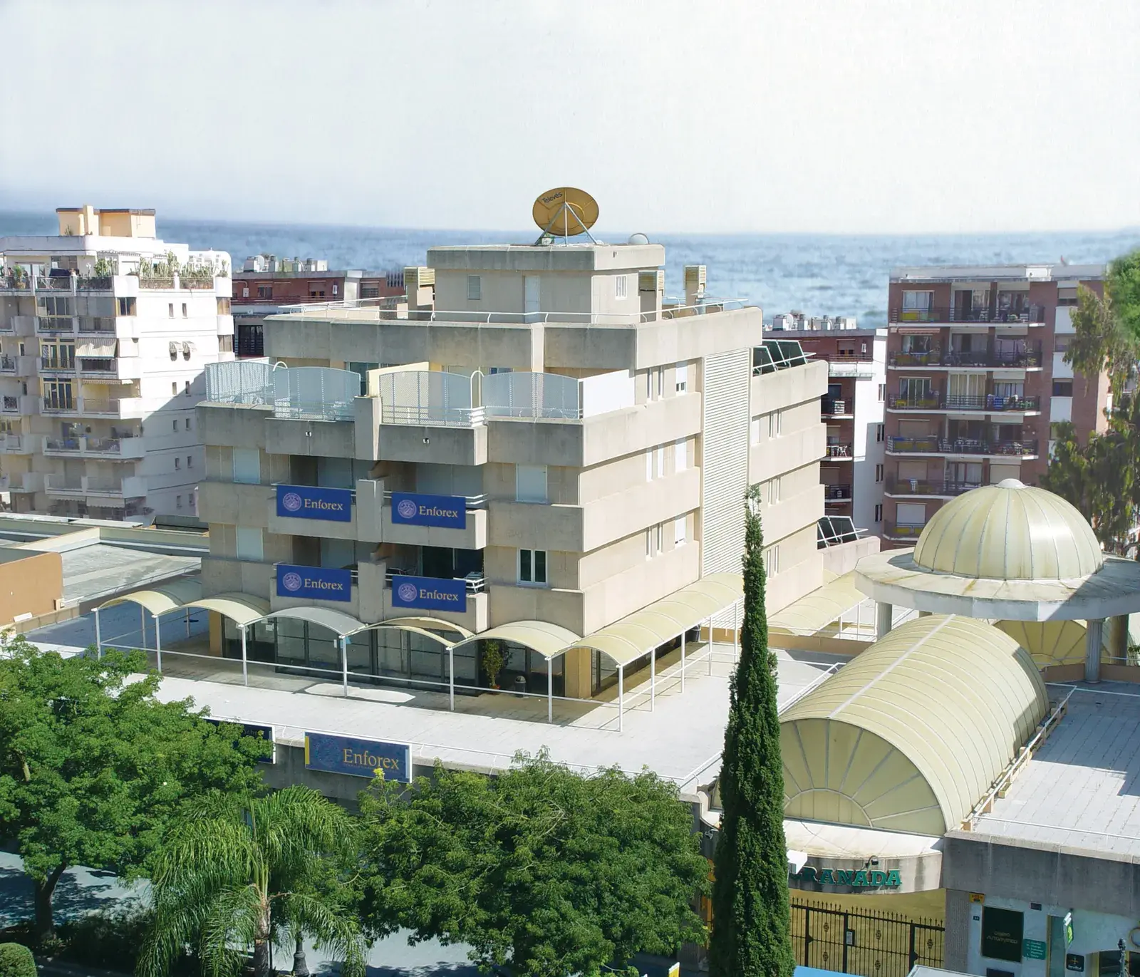 Enforex Marbella