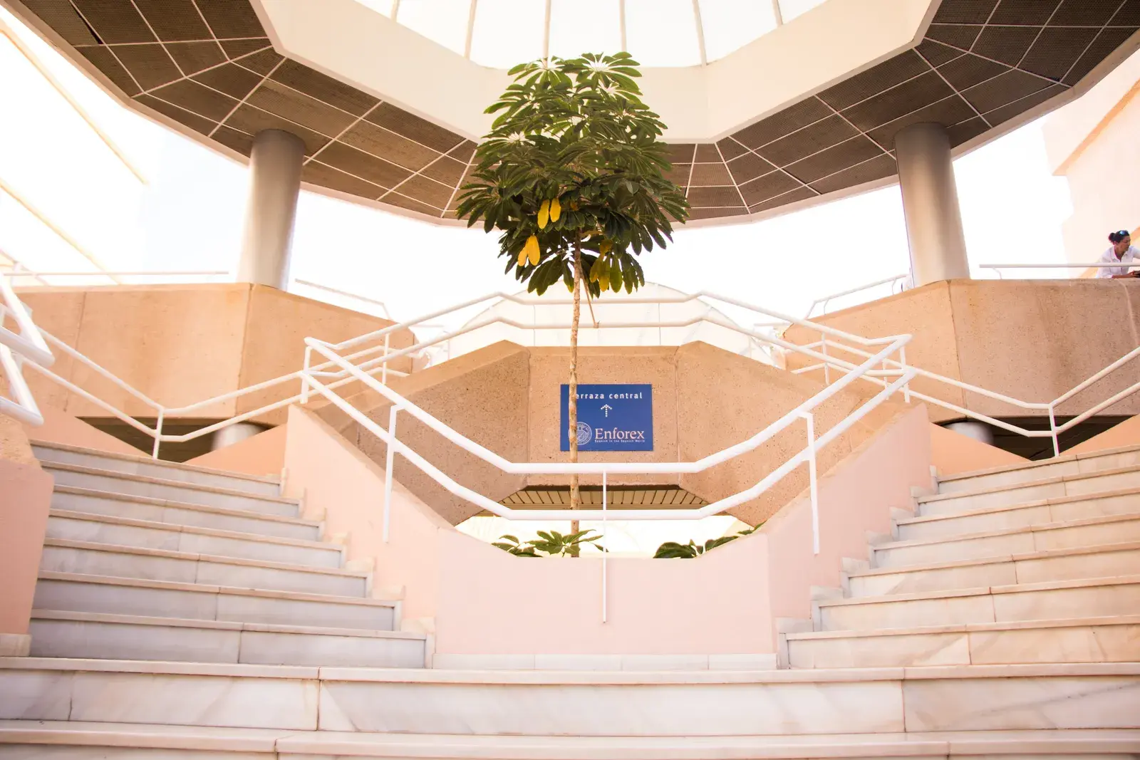 Enforex Marbella